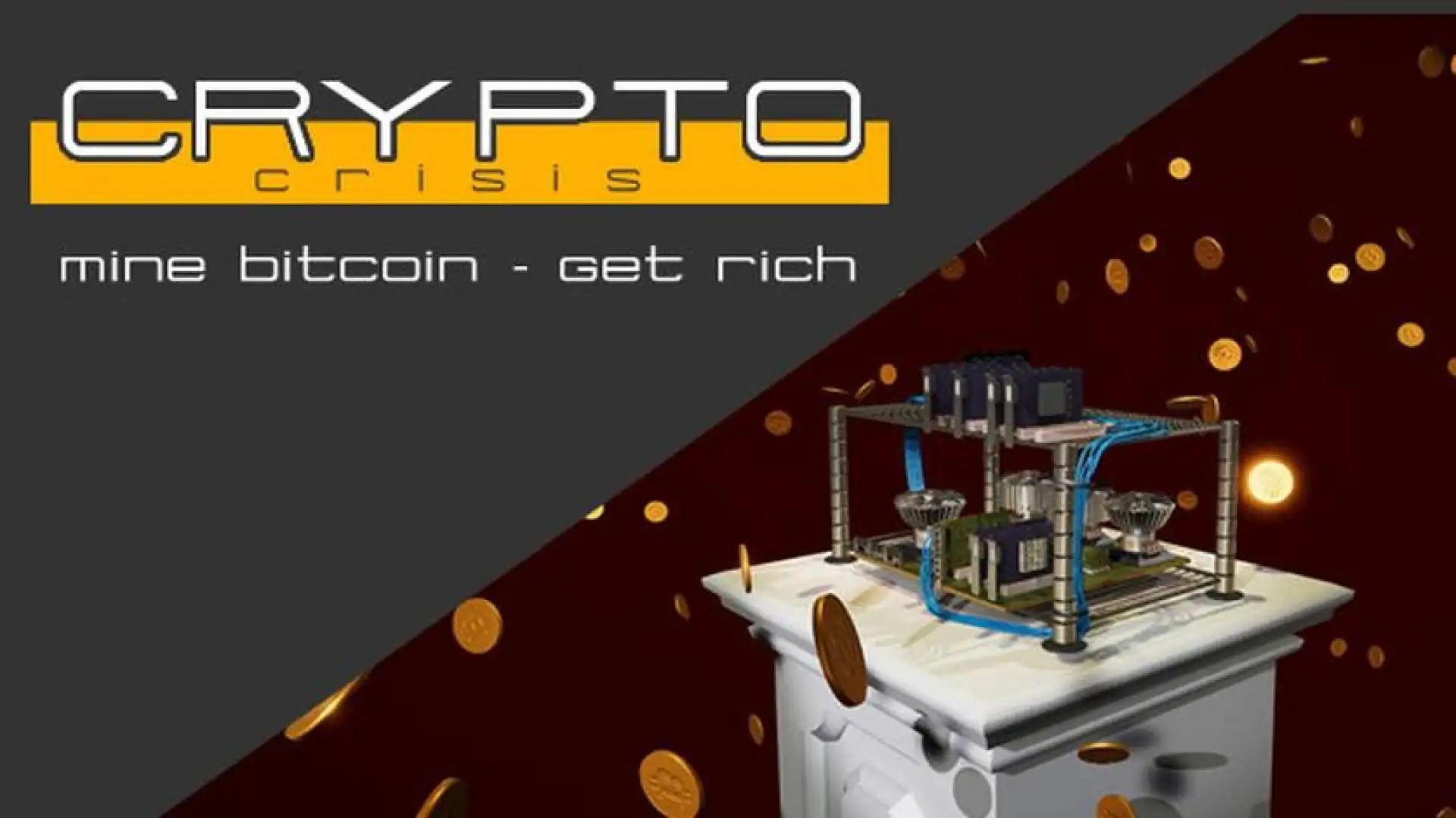 Crypto Crisis