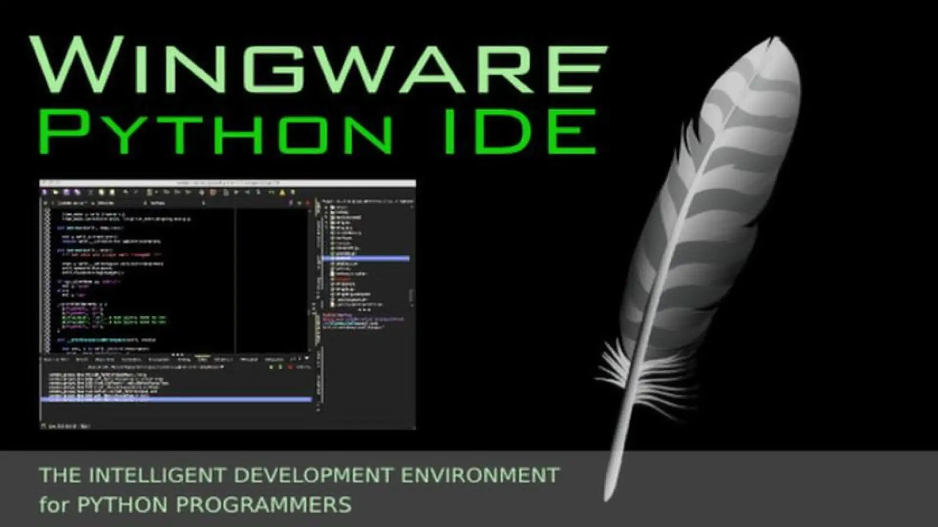 Wing IDE 5