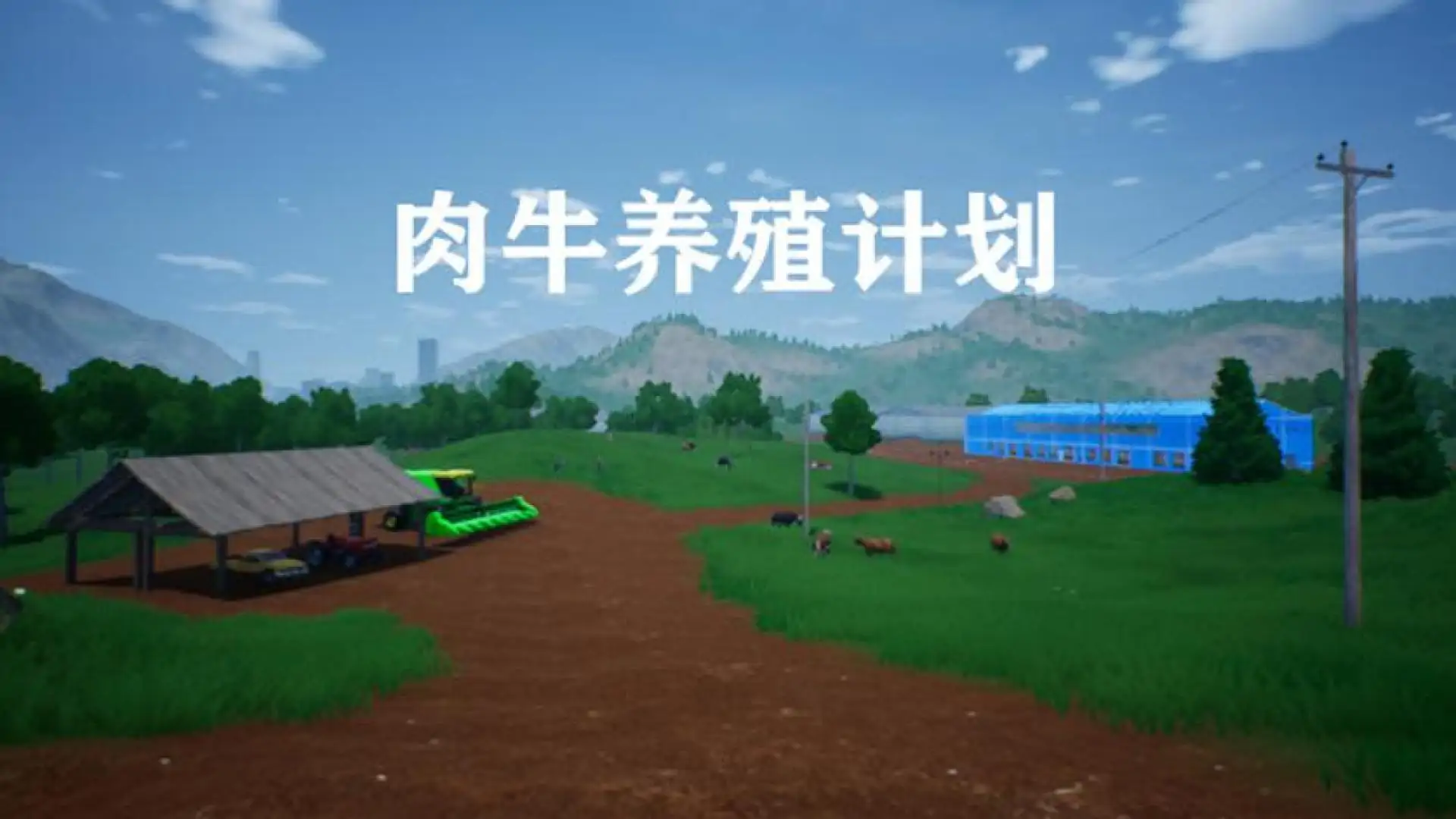 肉牛养殖计划