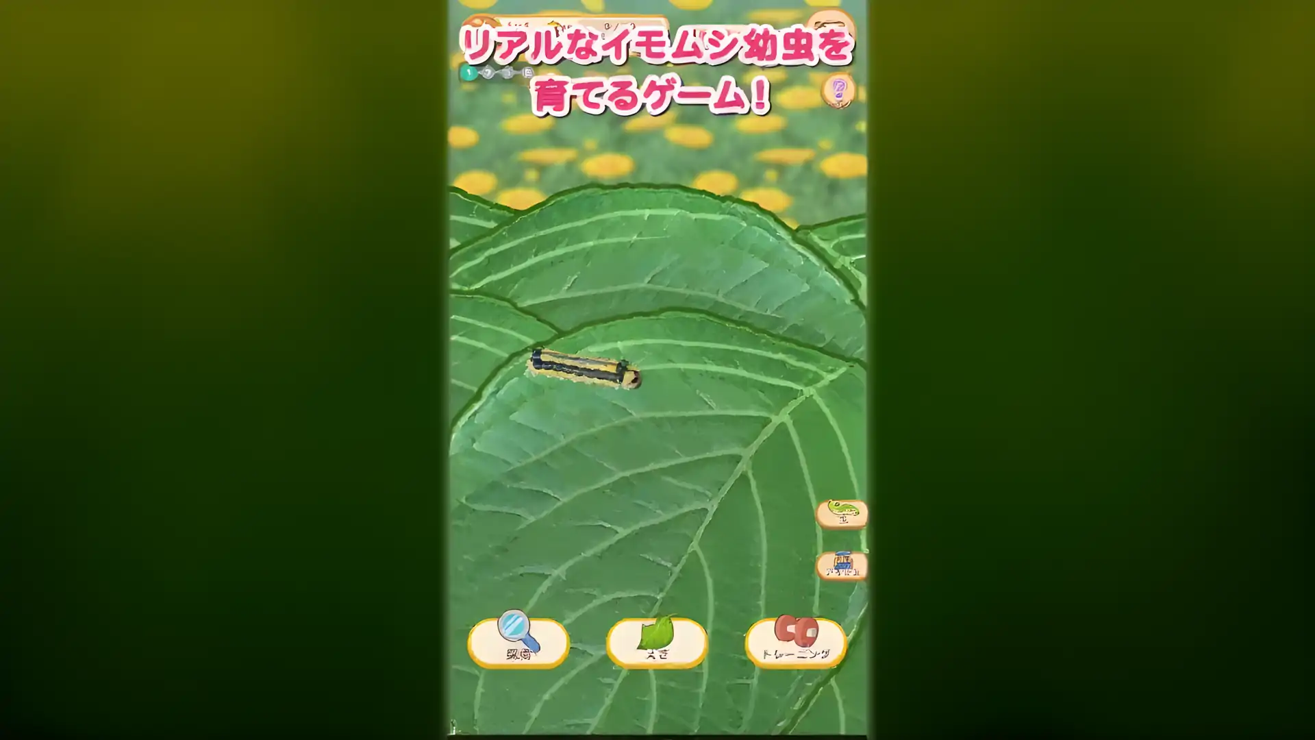 昆虫培育游戏Mushiiku2