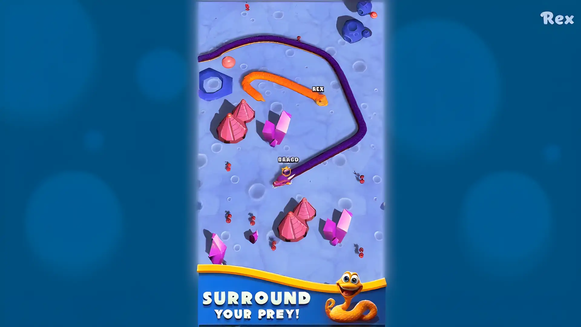 Slink.io3D：有趣的IO贪吃蛇游戏