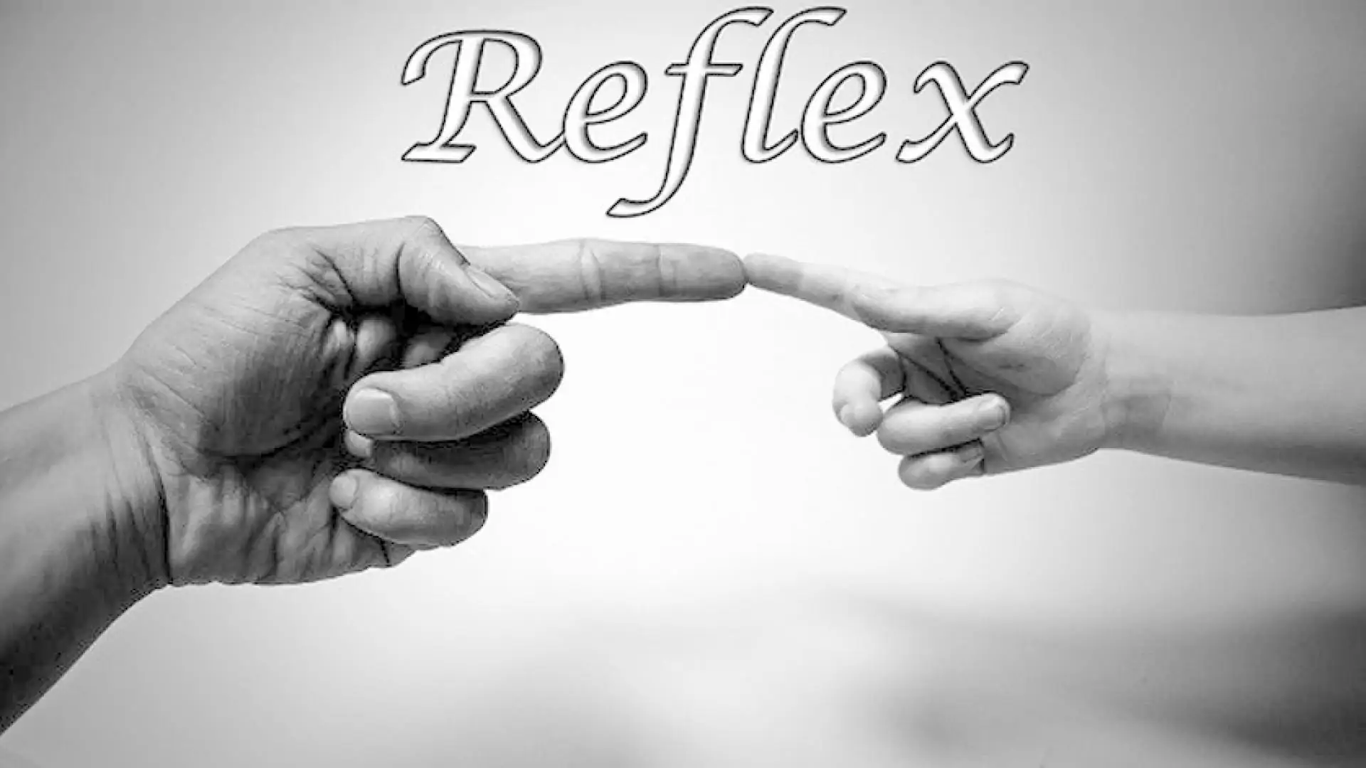Reflex