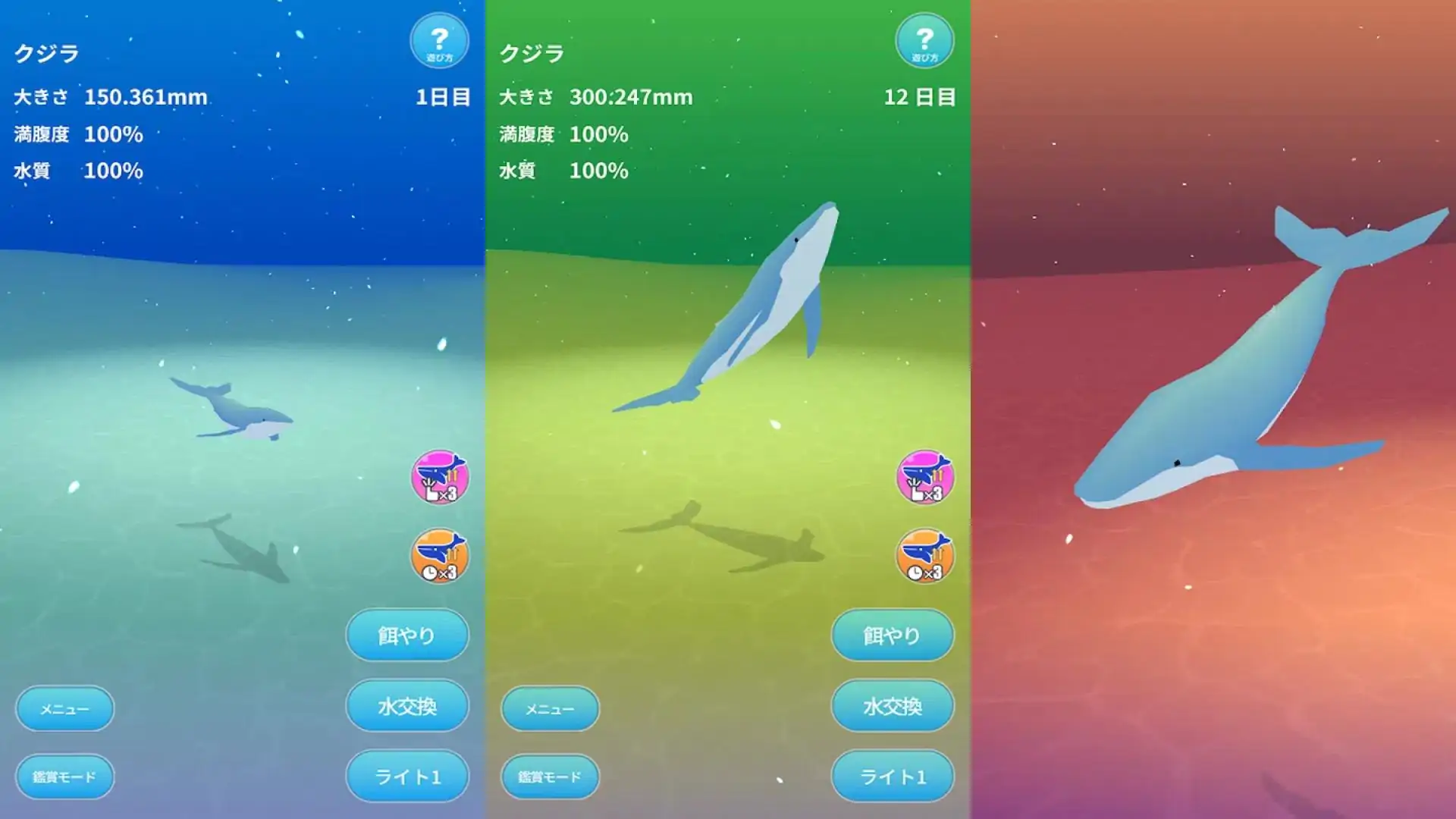 放置训练游戏鲸鱼训练ASMR