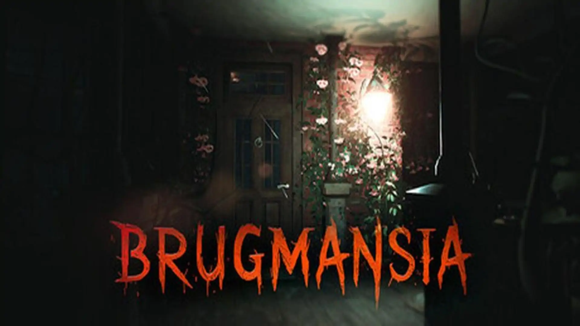 Brugmansia