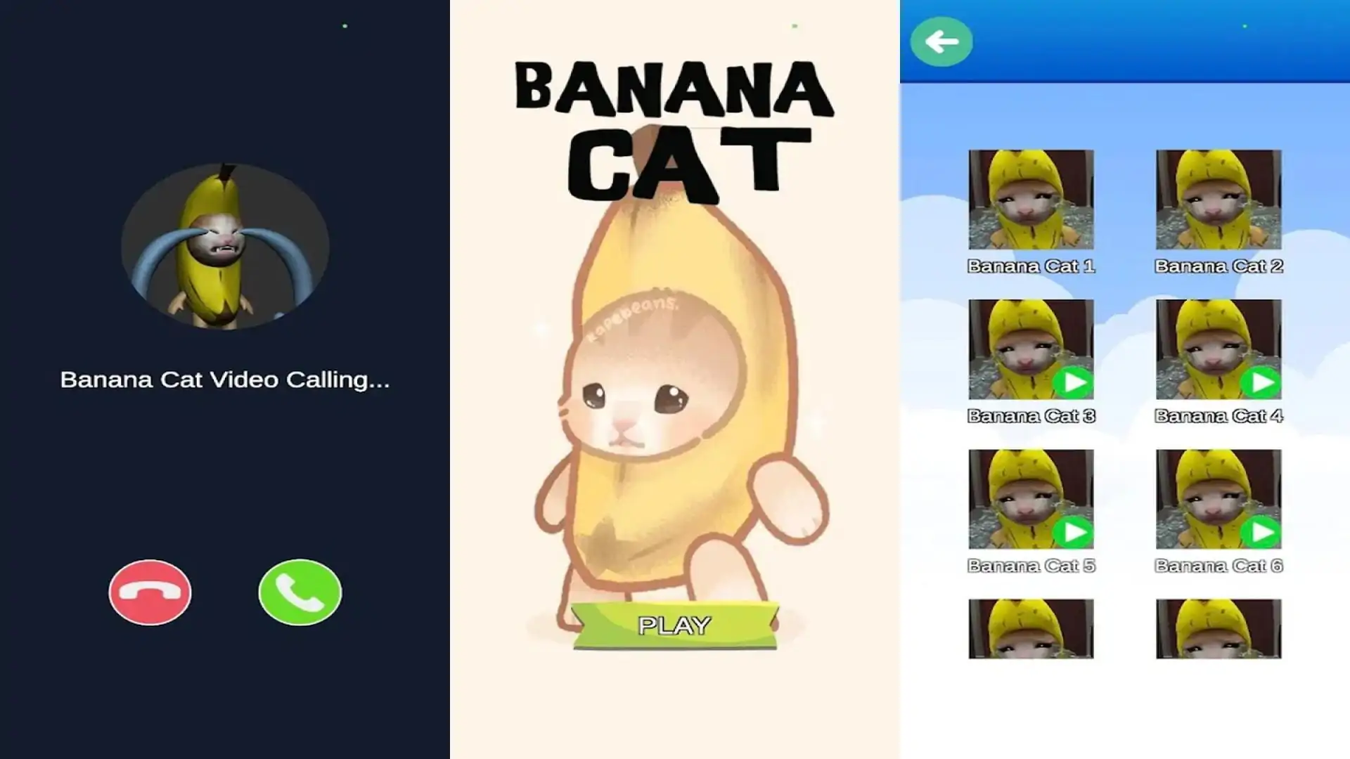 香蕉猫快乐的呼唤