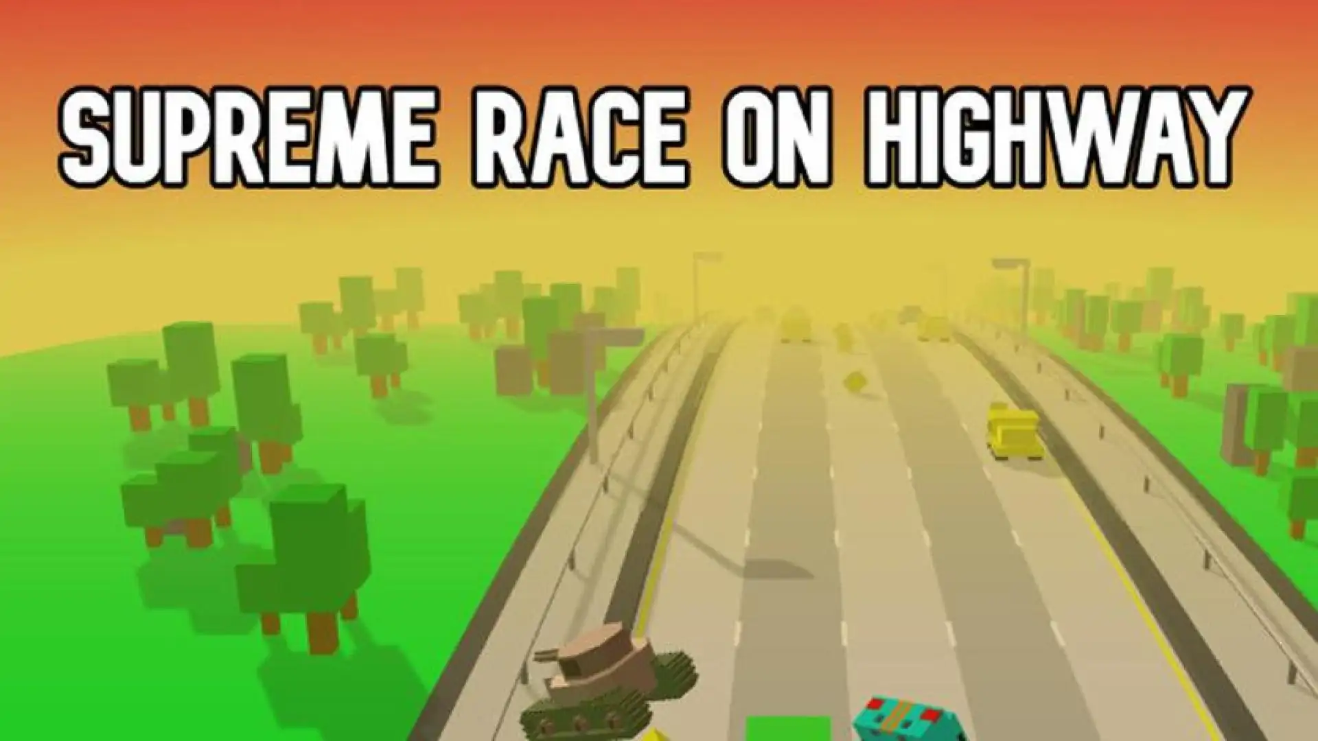 Supreme Race on Highway