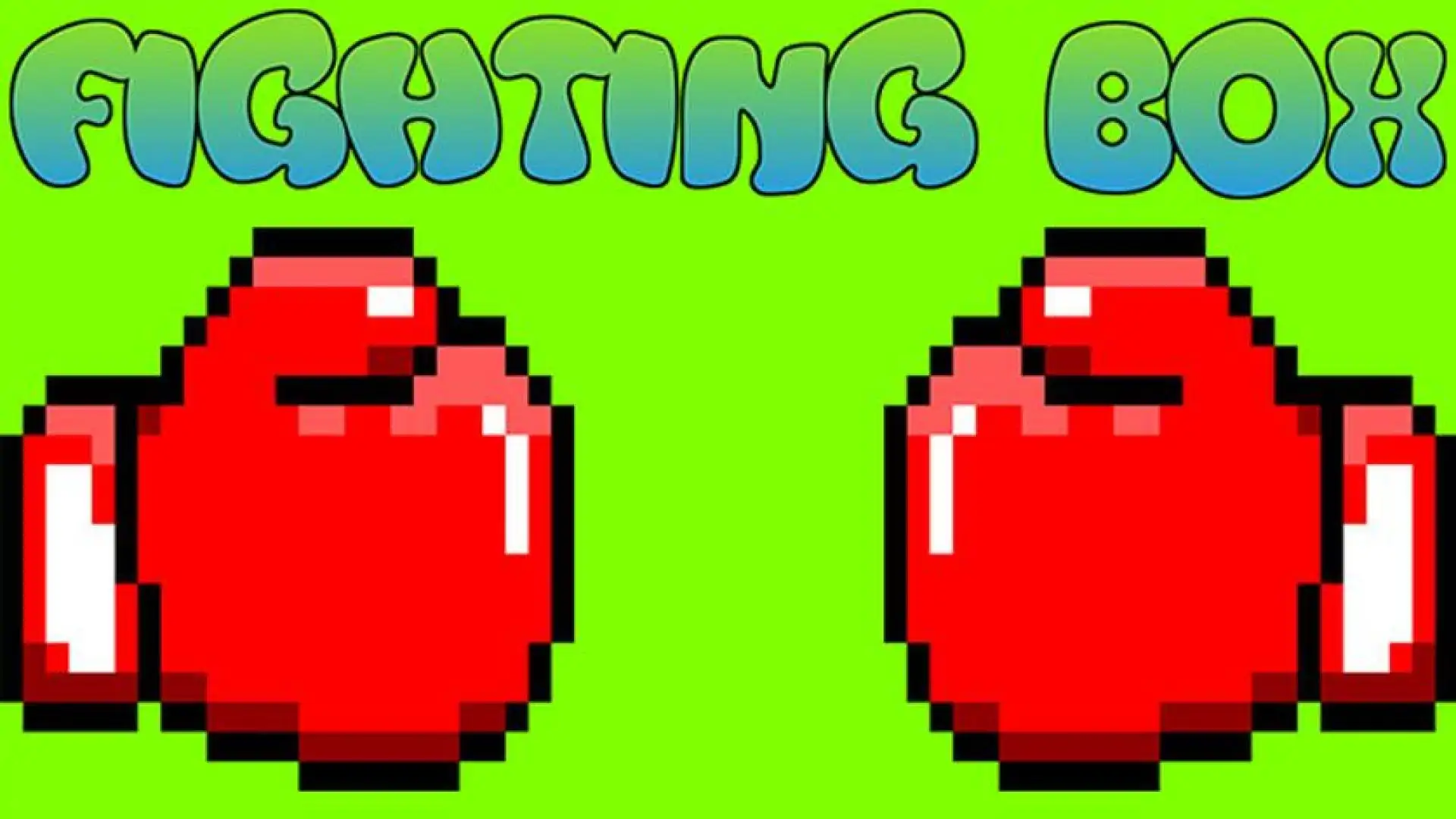 FIGHTING BOX