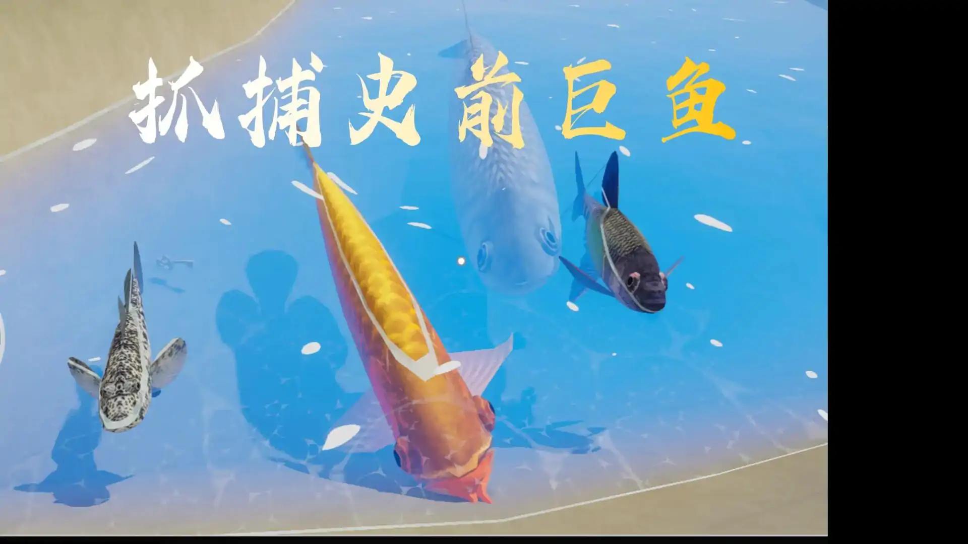 荒岛寻秘