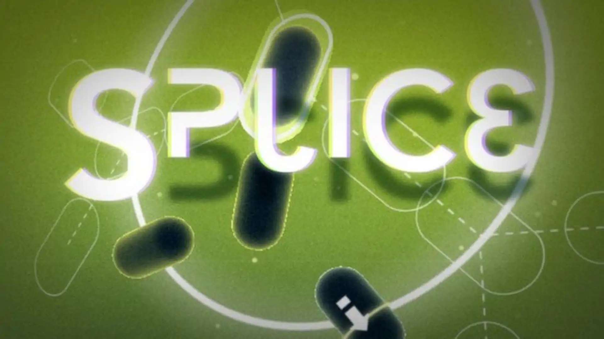 Splice