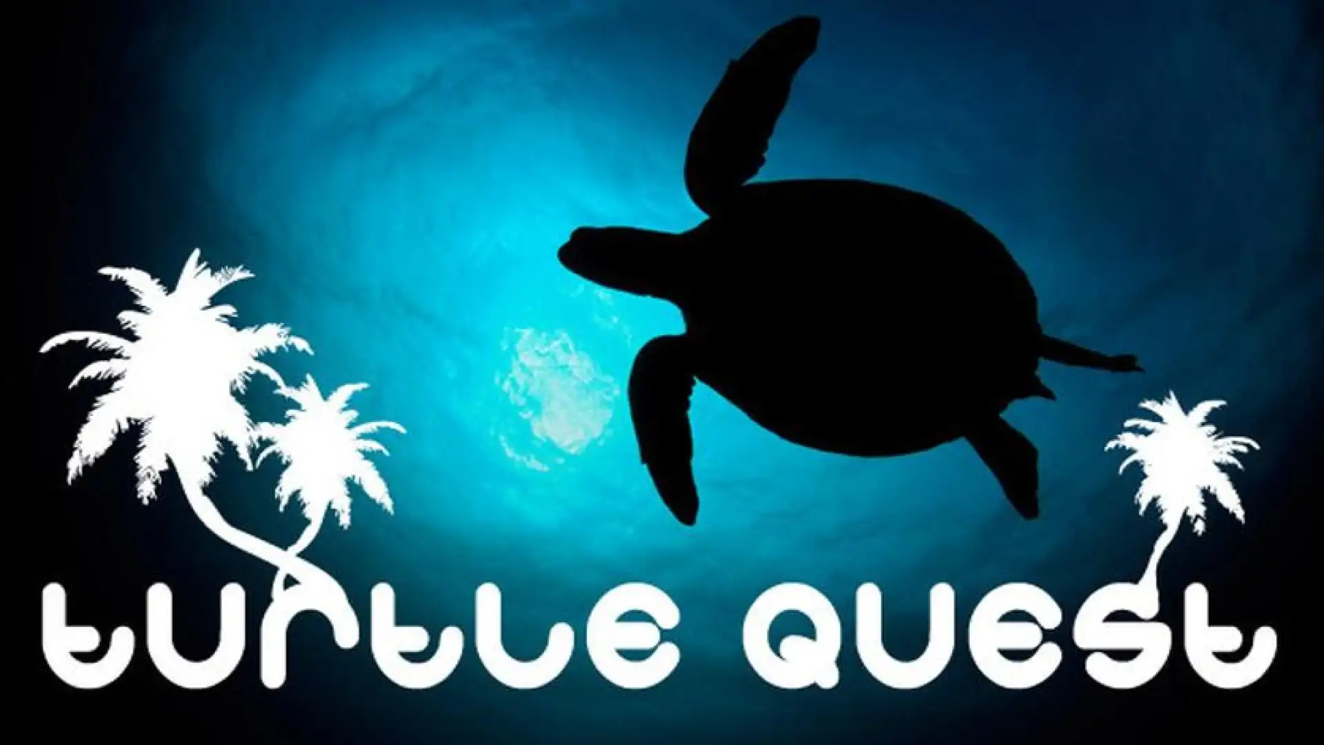 Turtle Quest