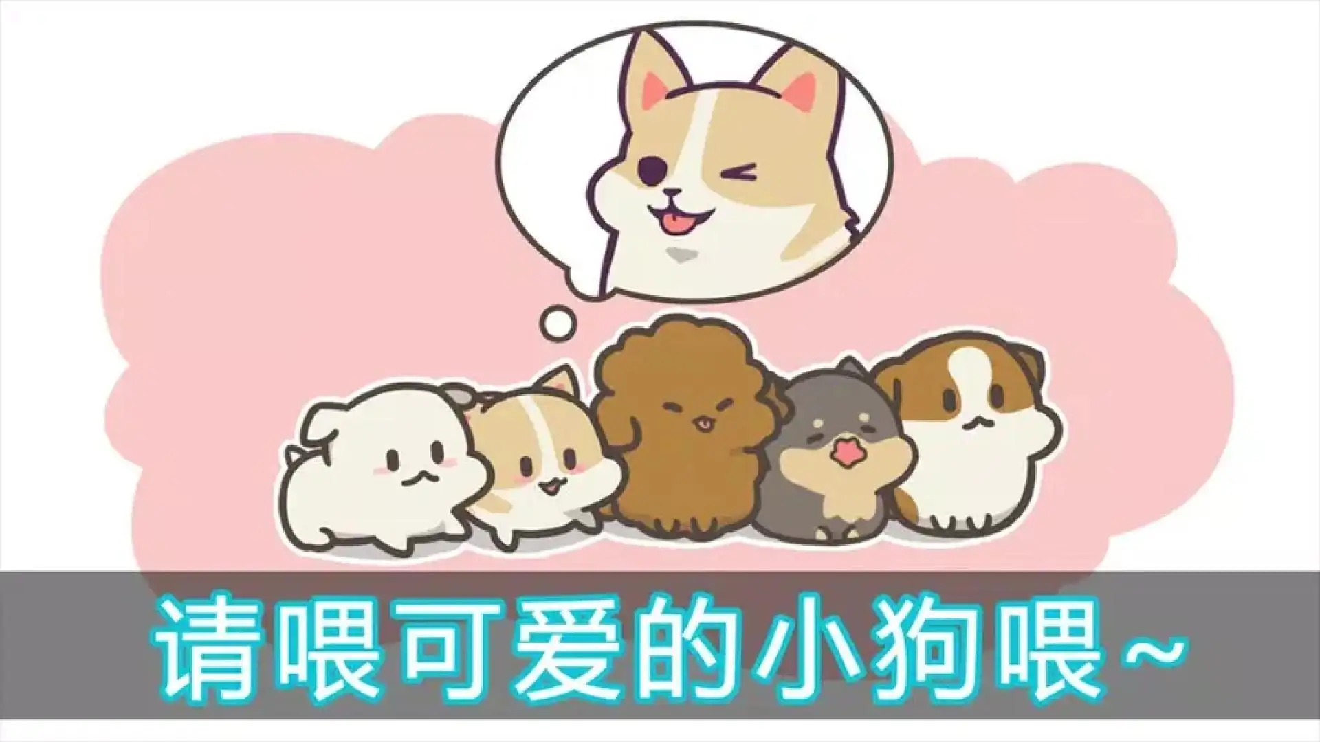 养只小狗狗
