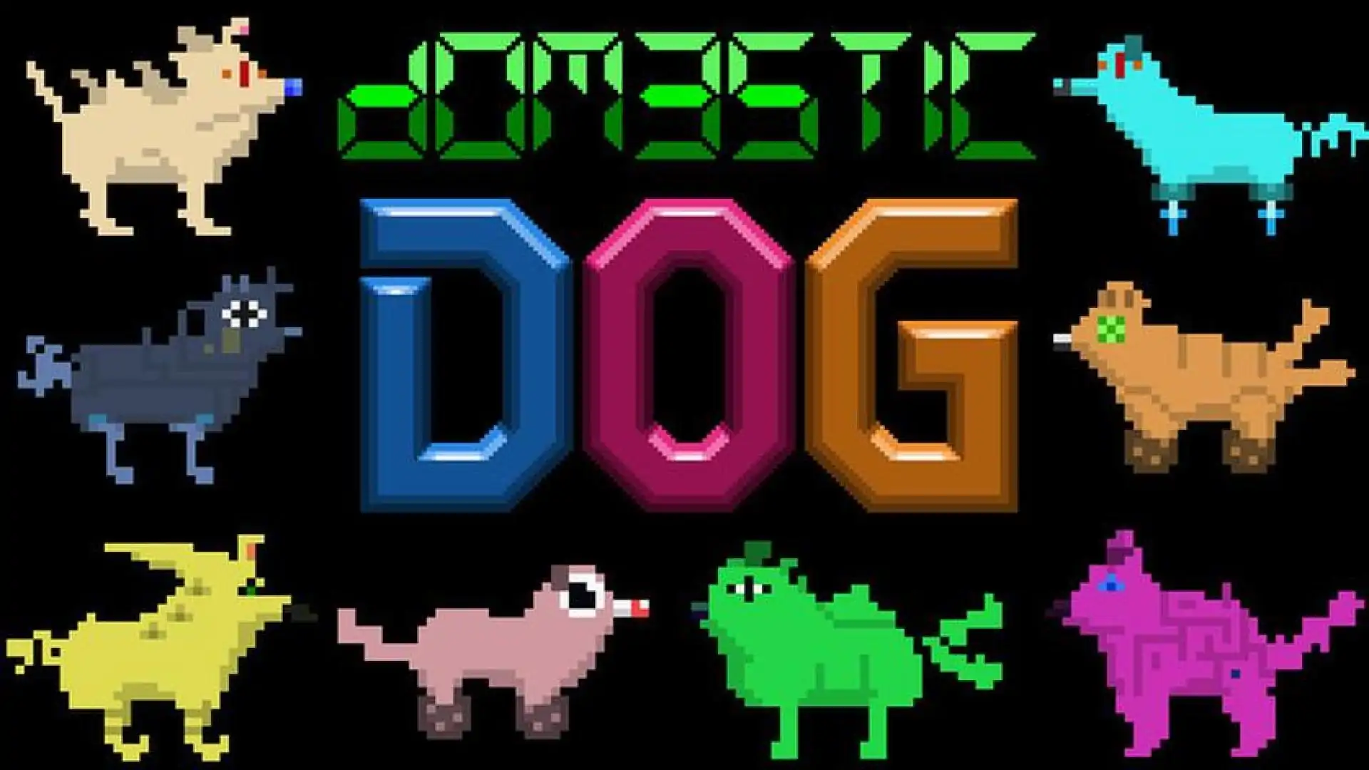 Domestic Dog