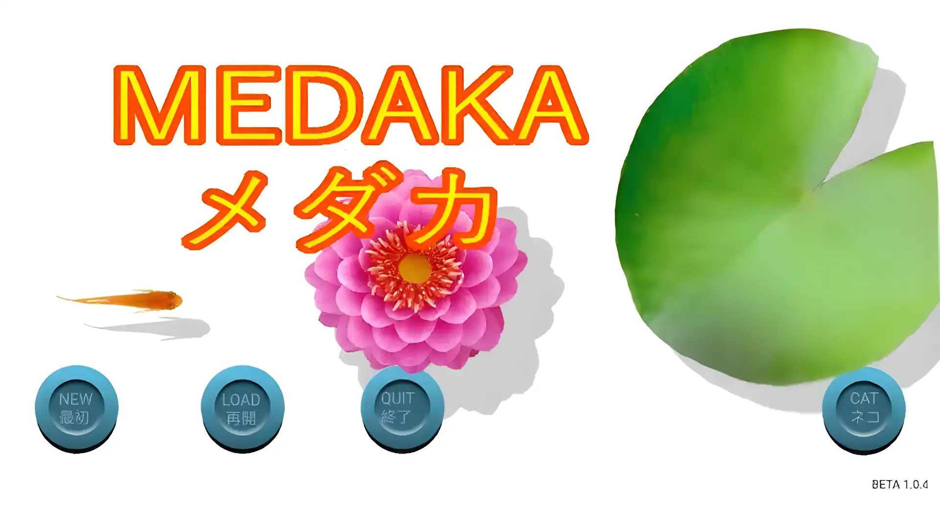 鳉鱼