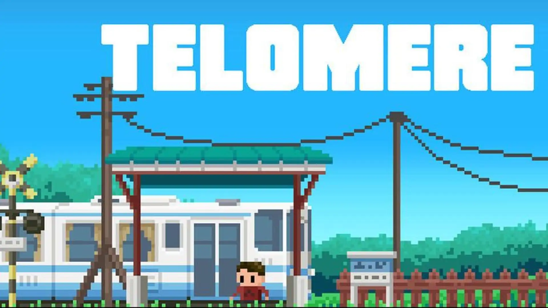 Telomere