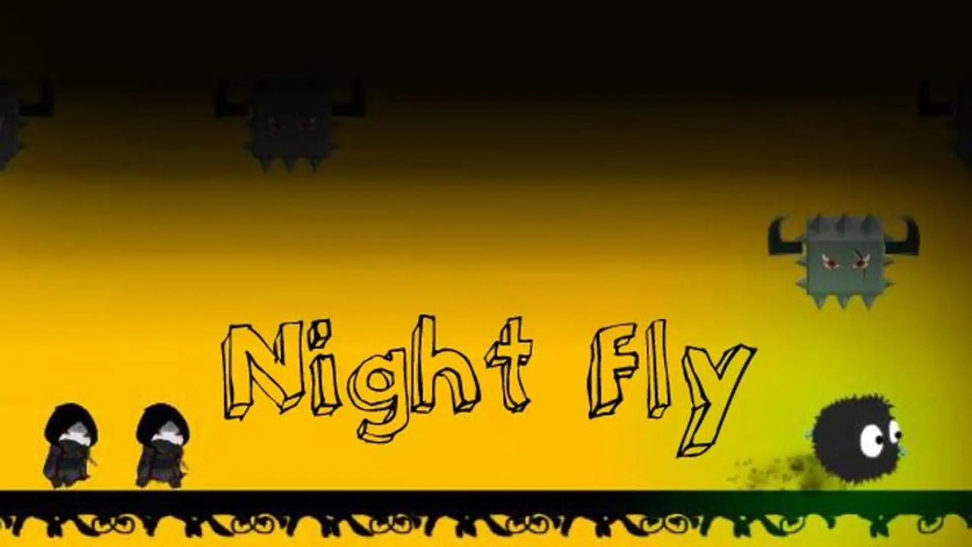 Night Fly