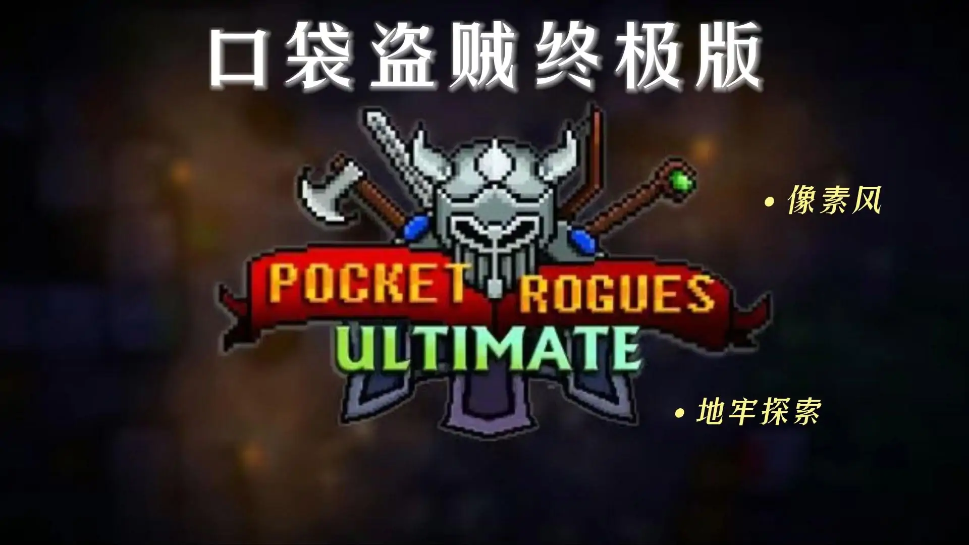 口袋盗贼终极版