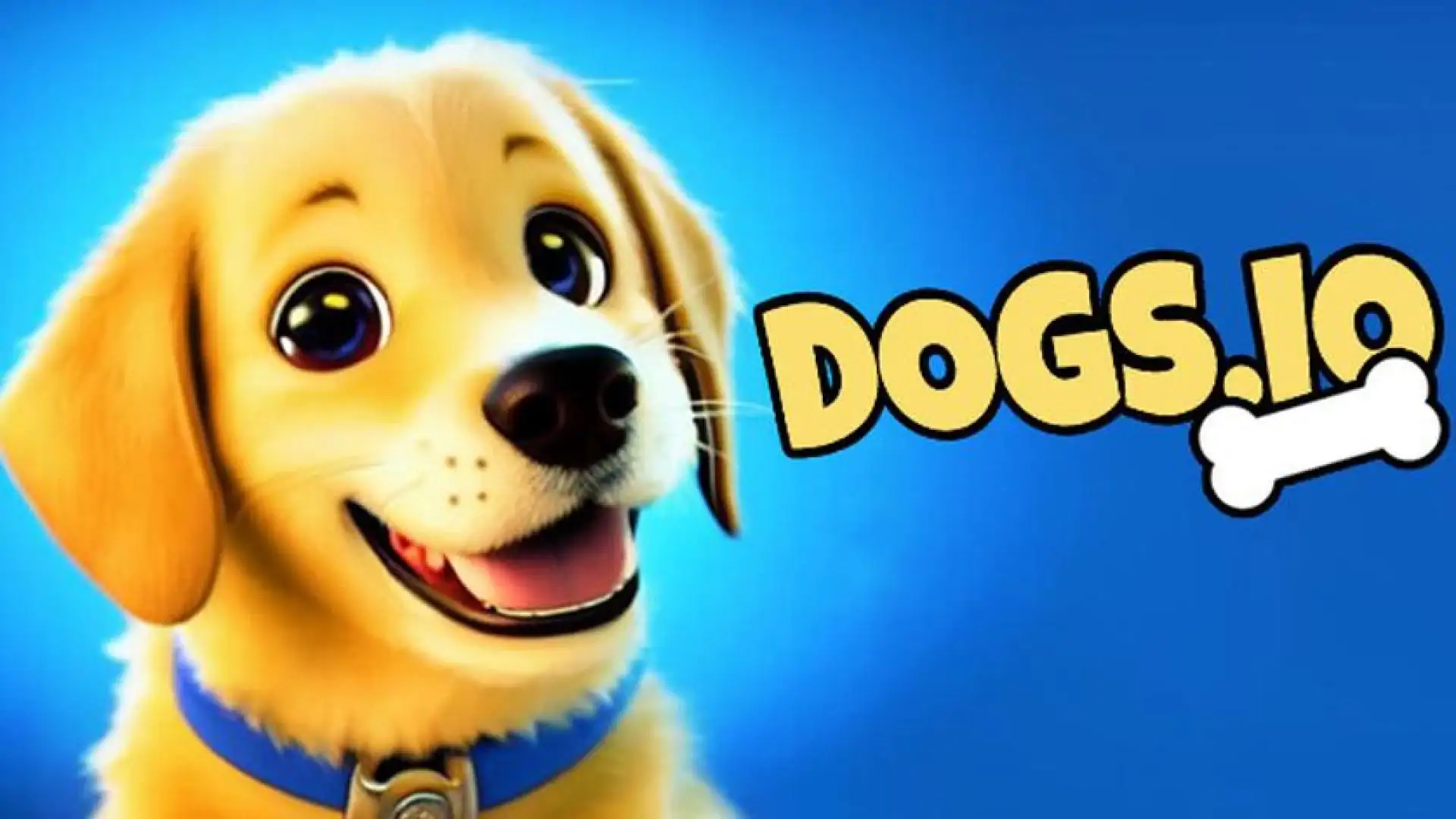 DOGS.IO