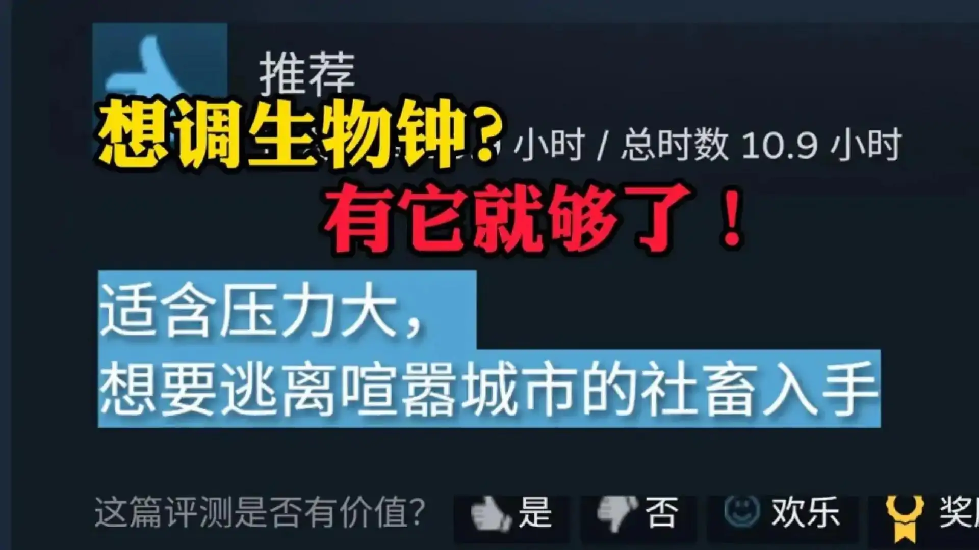 小小书店