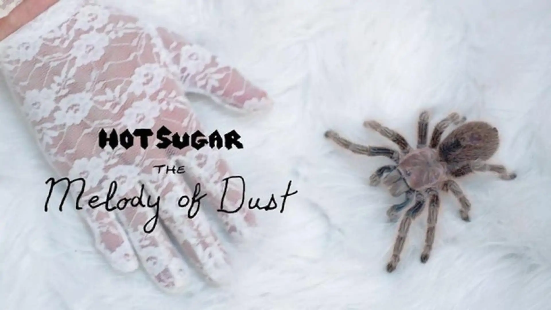 The Melody of Dust