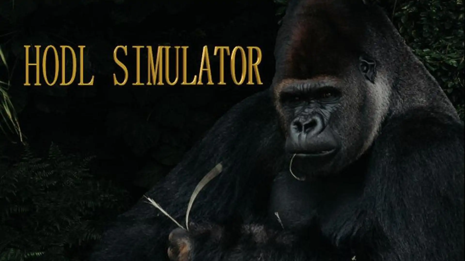 Hodl Simulator