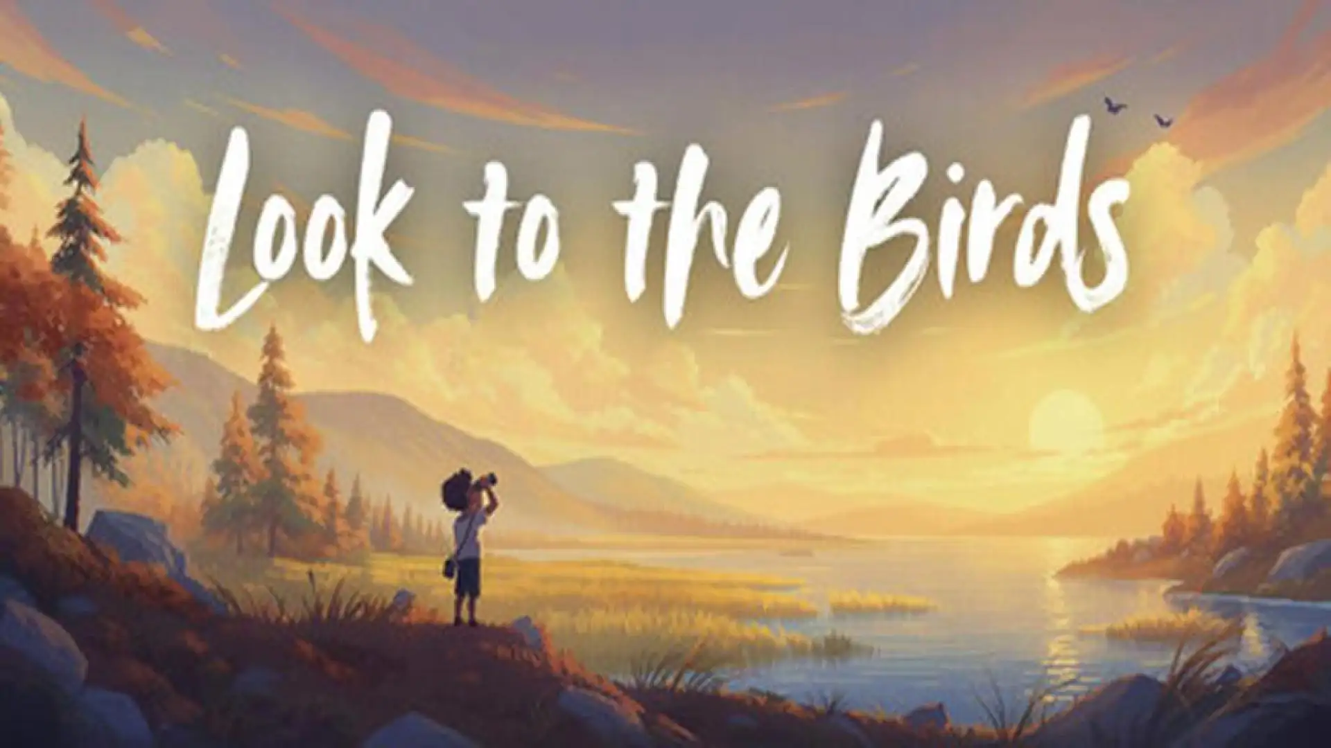 Look to the Birds