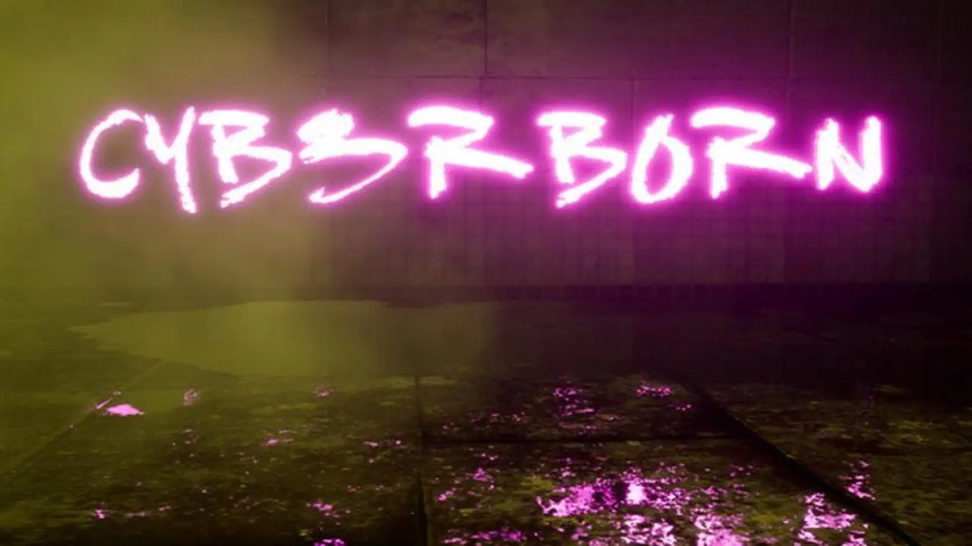CyberBorn