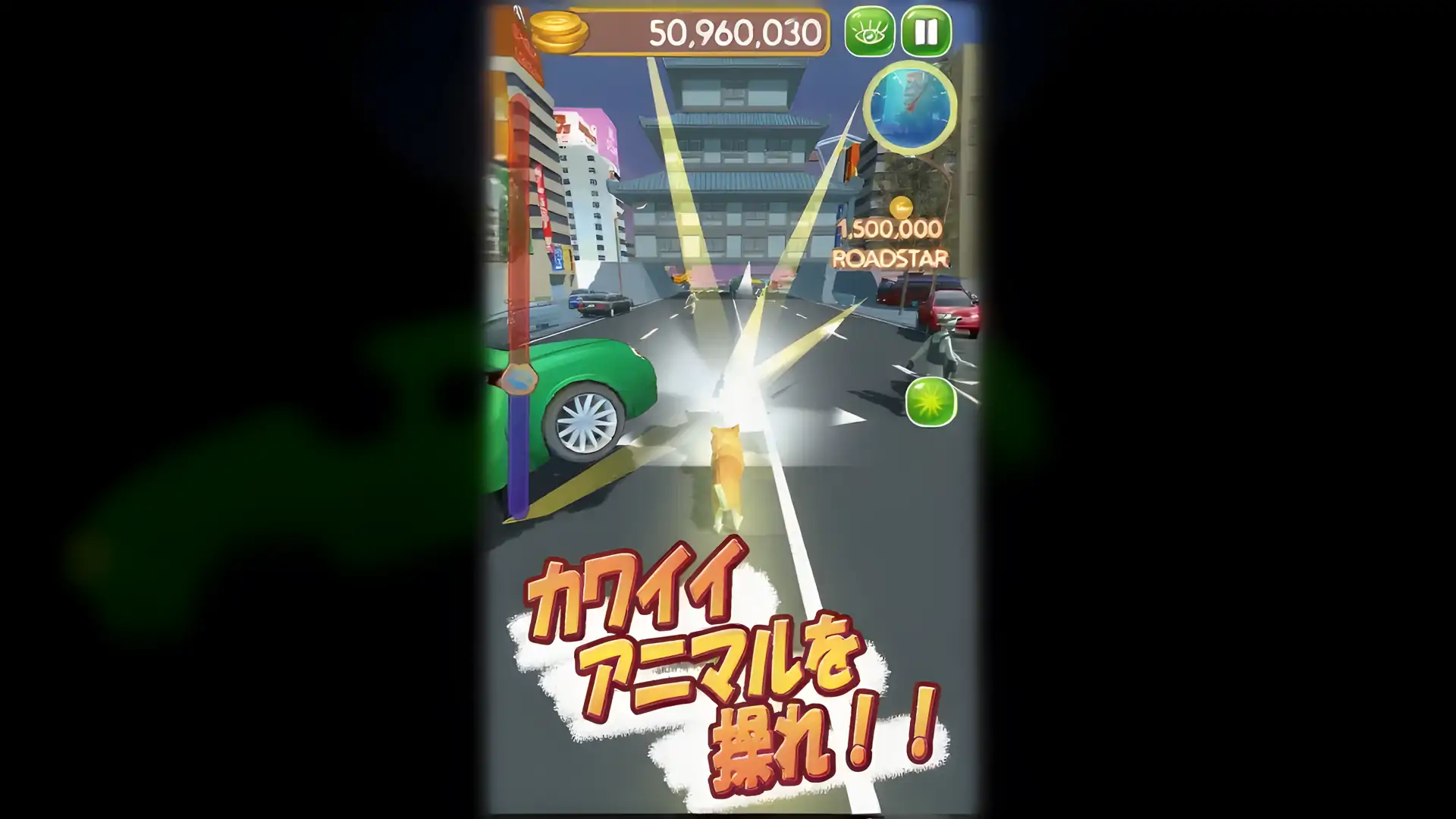 动物速度
