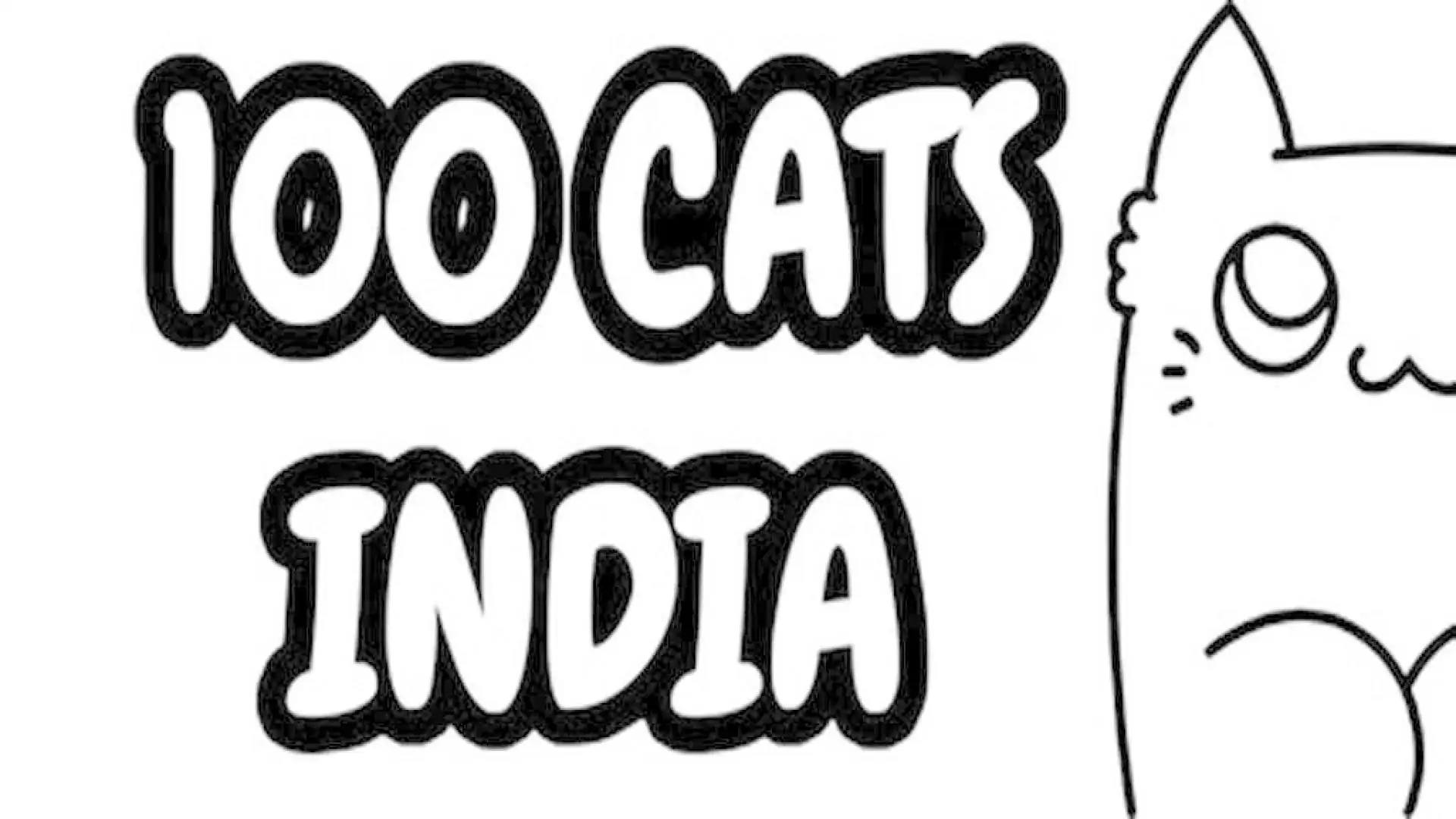 100 Cats India
