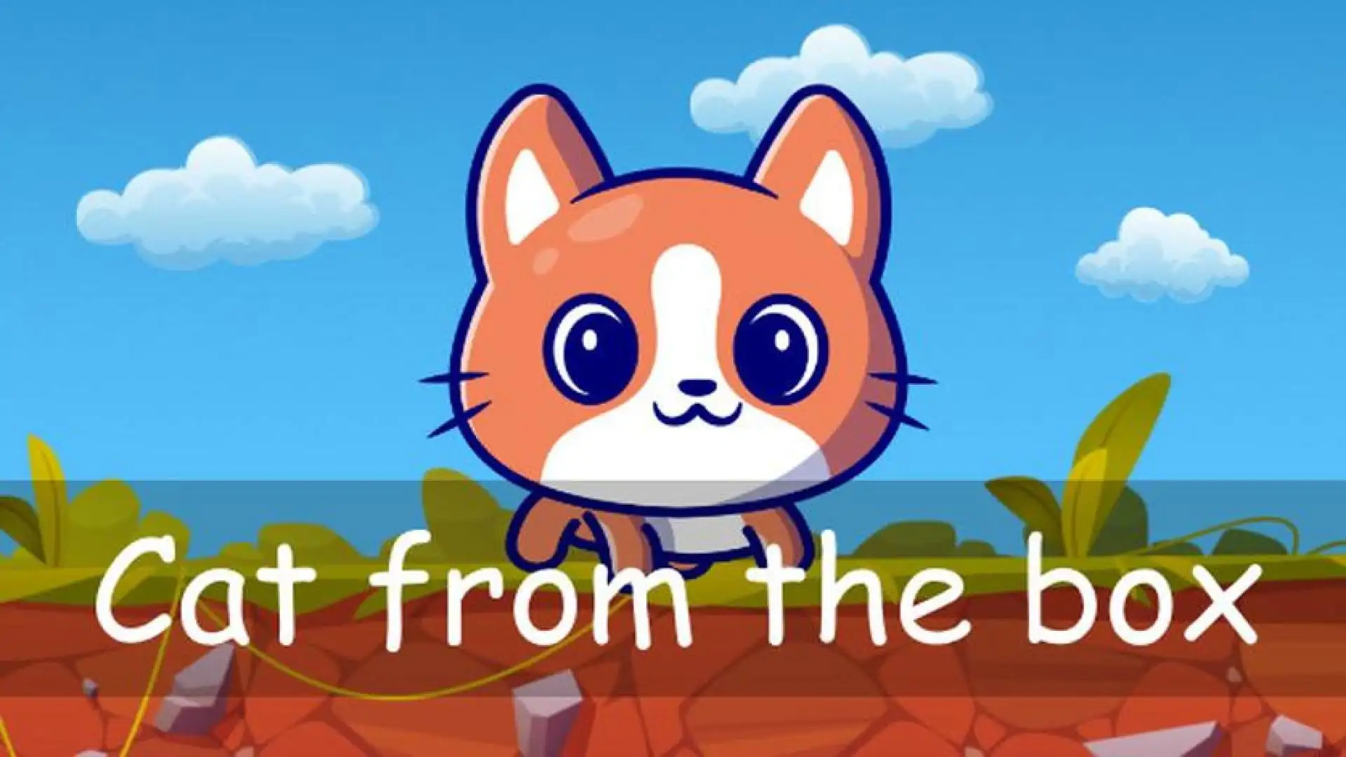 Cat from the box