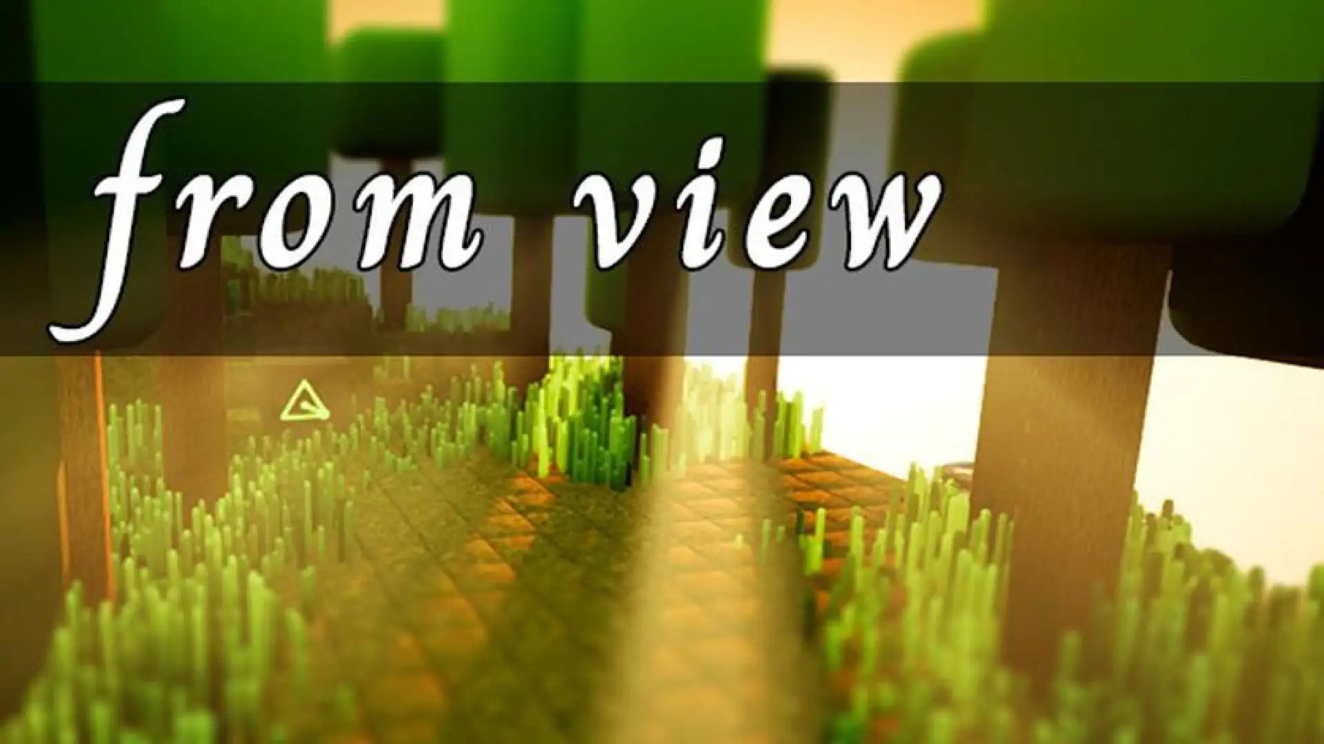 from view