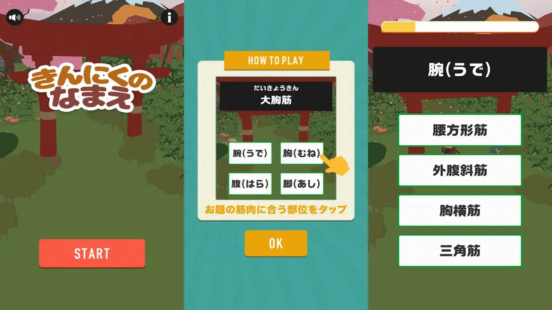 肌肉名称