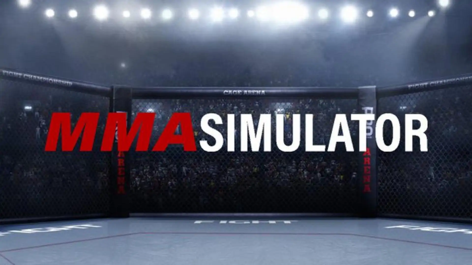MMA Simulator