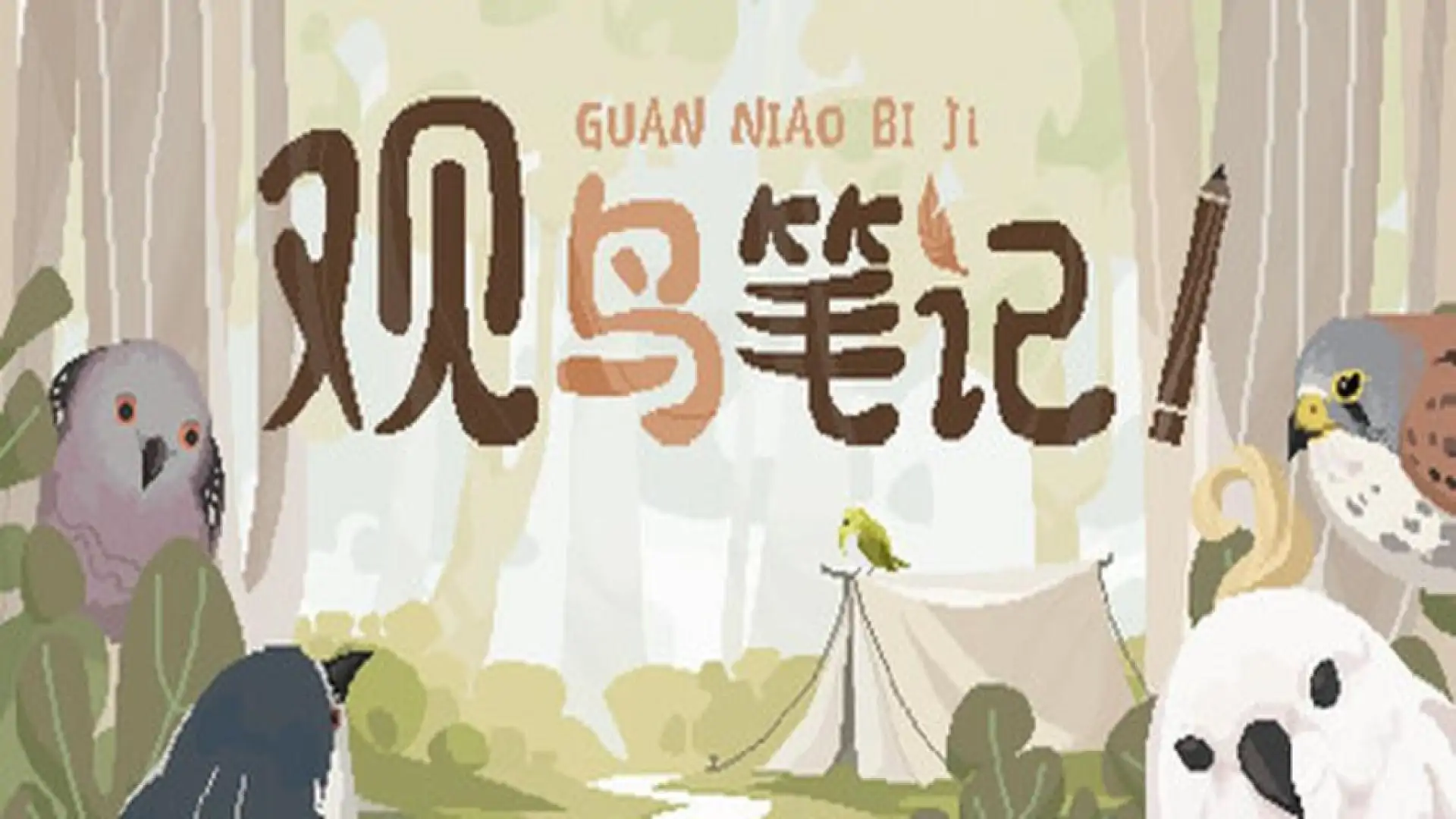 观鸟笔记