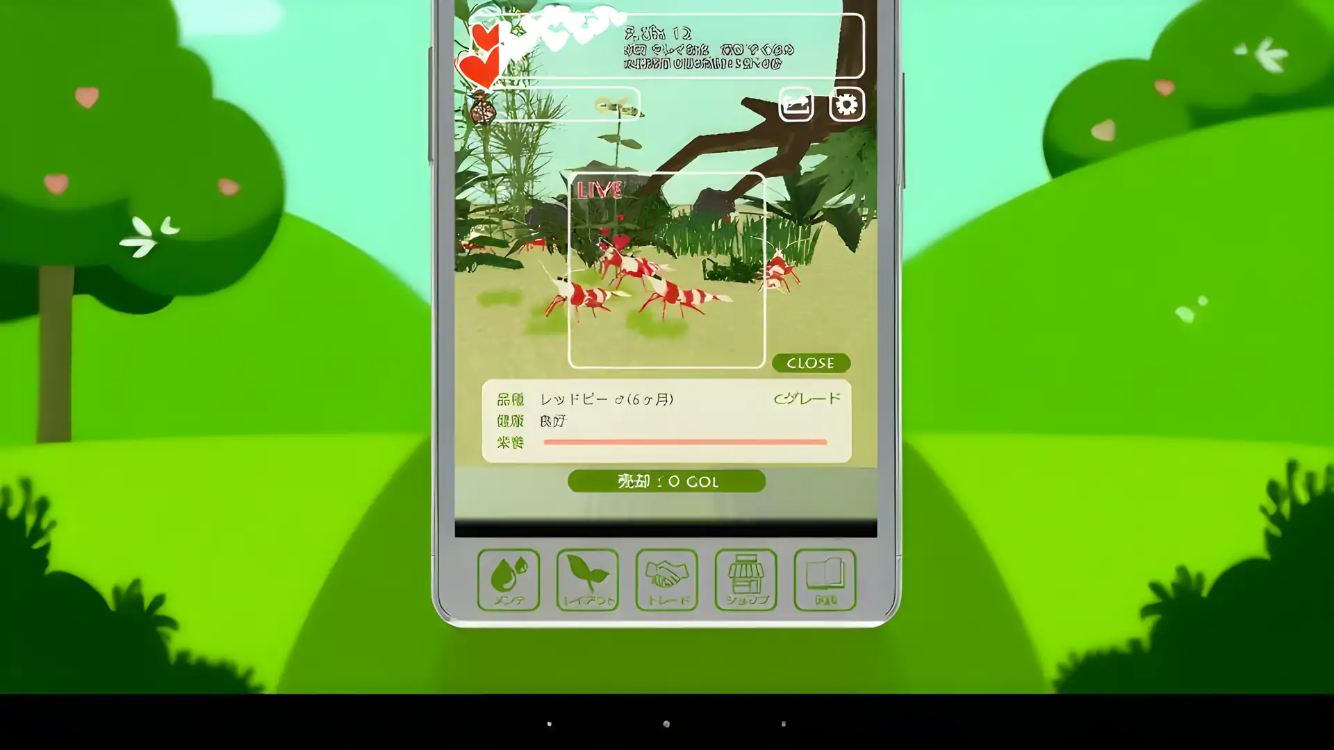虾天堂-在水族箱中饲养虾