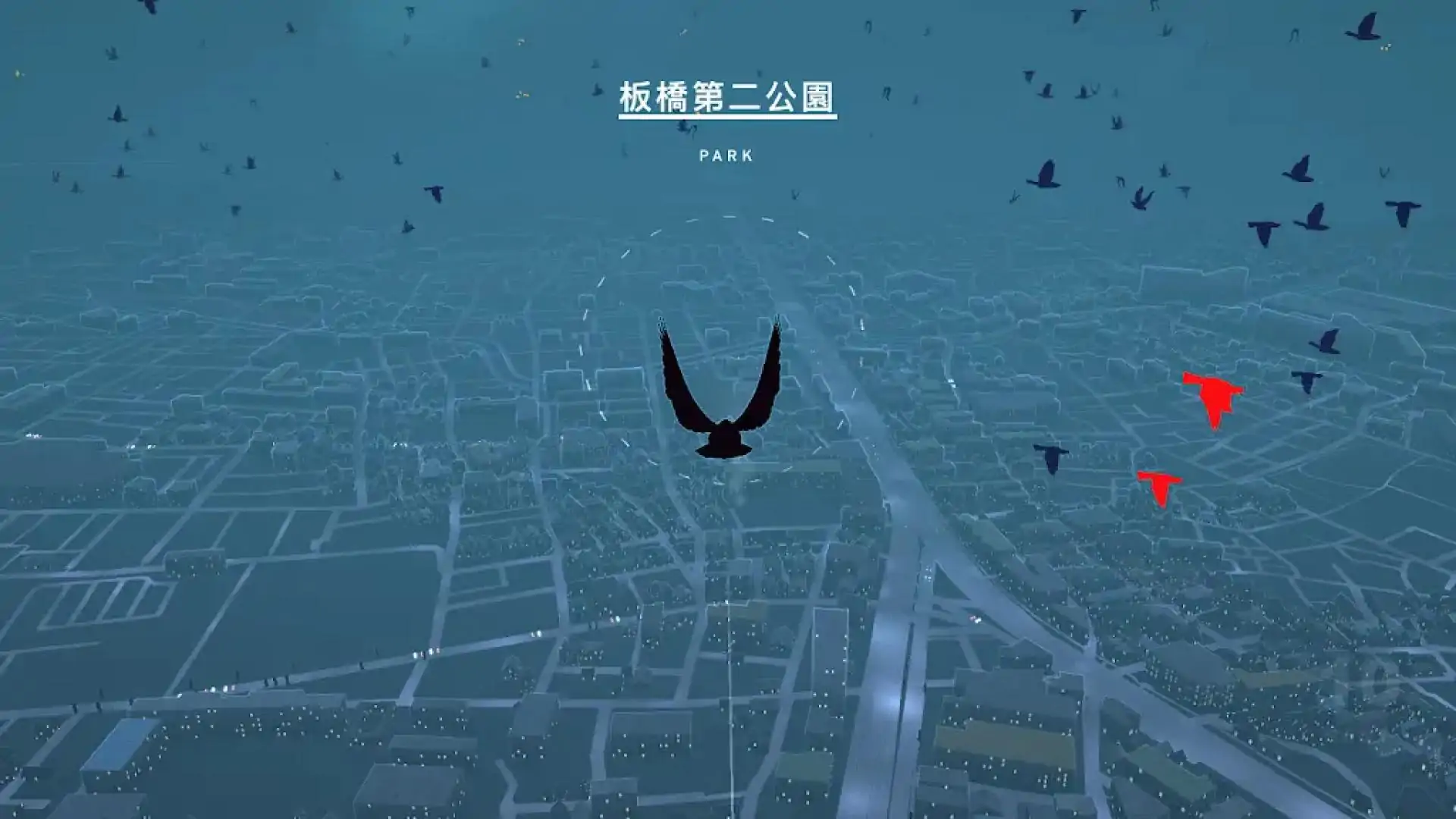 鸽子：一段爱情故事