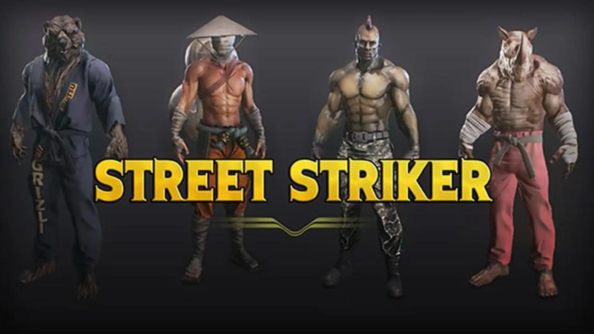 Street Striker
