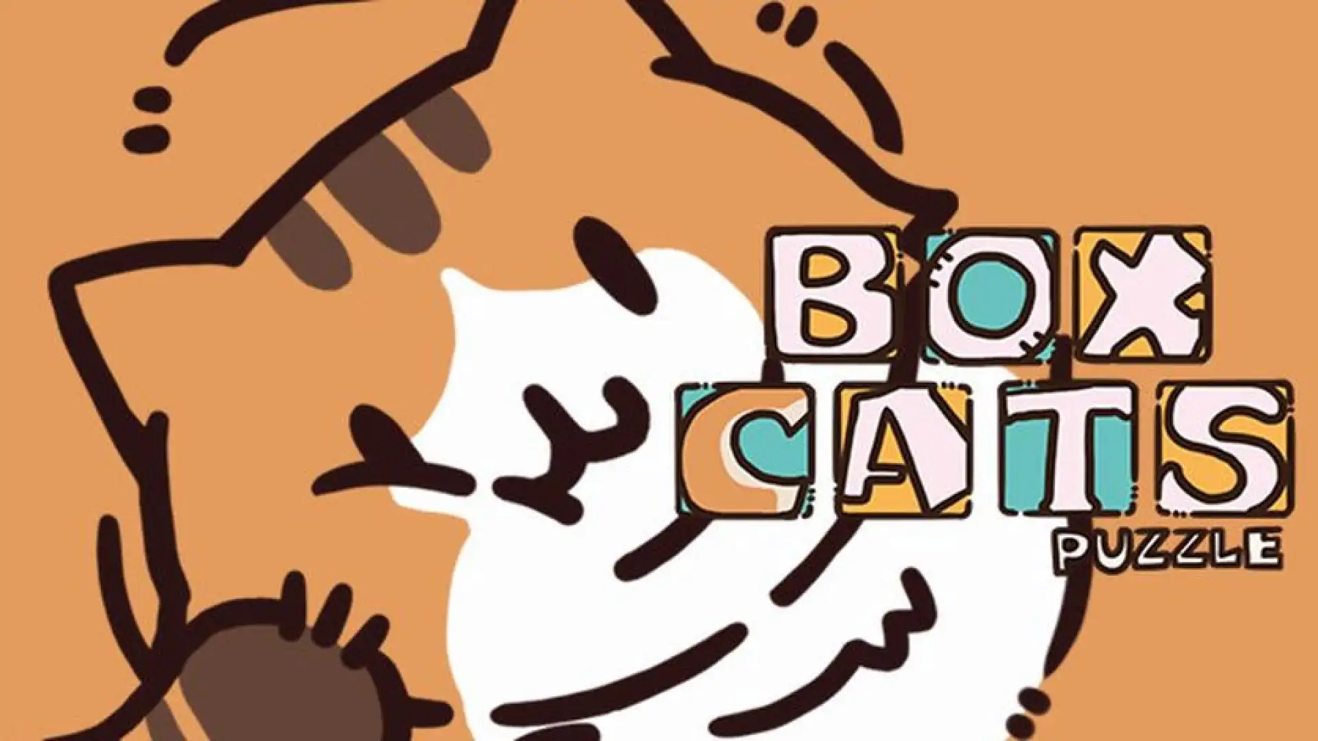 Box Cats Puzzle