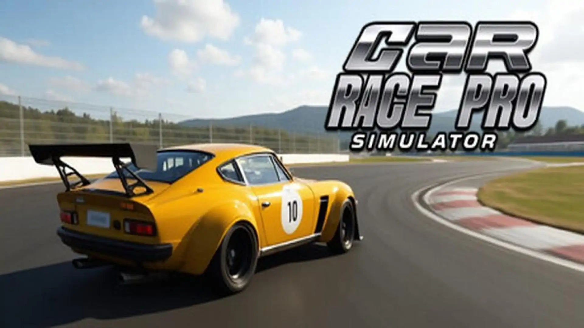 Car Race Pro Simulator