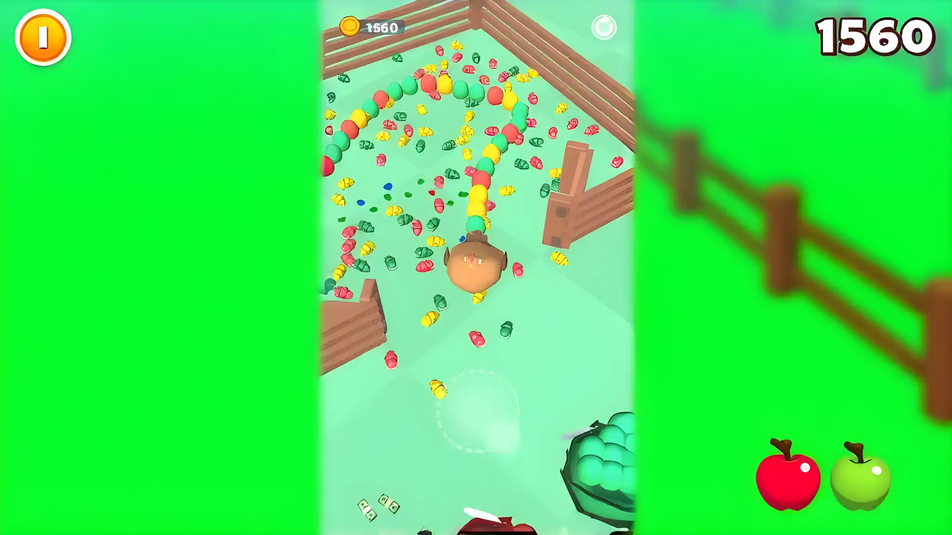 鸡蛋匆忙3d