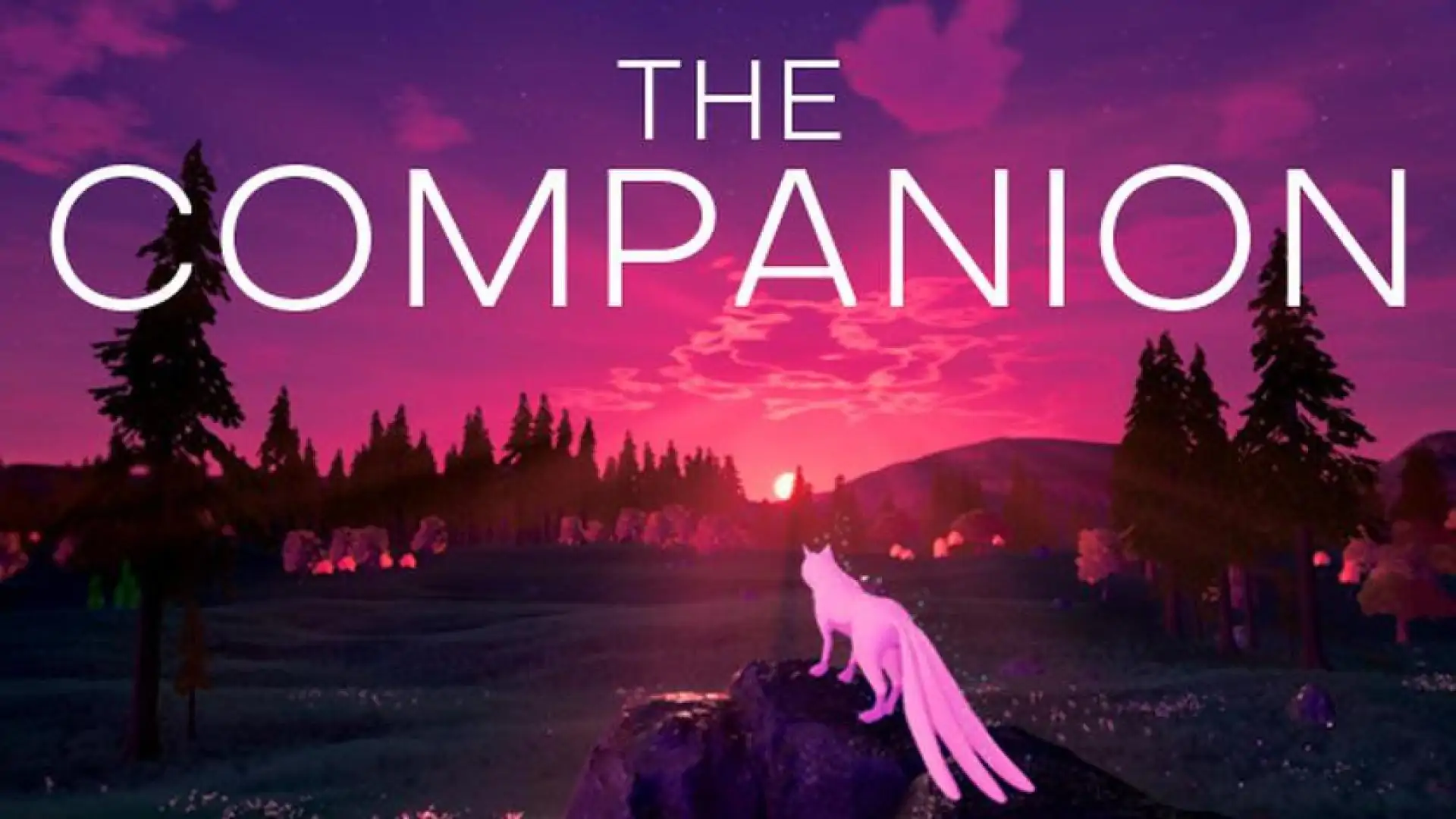The Companion