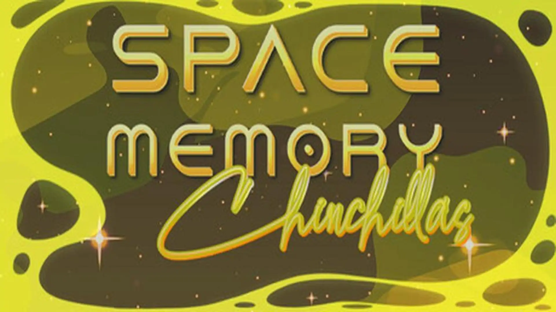Space Memory: Chinchillas