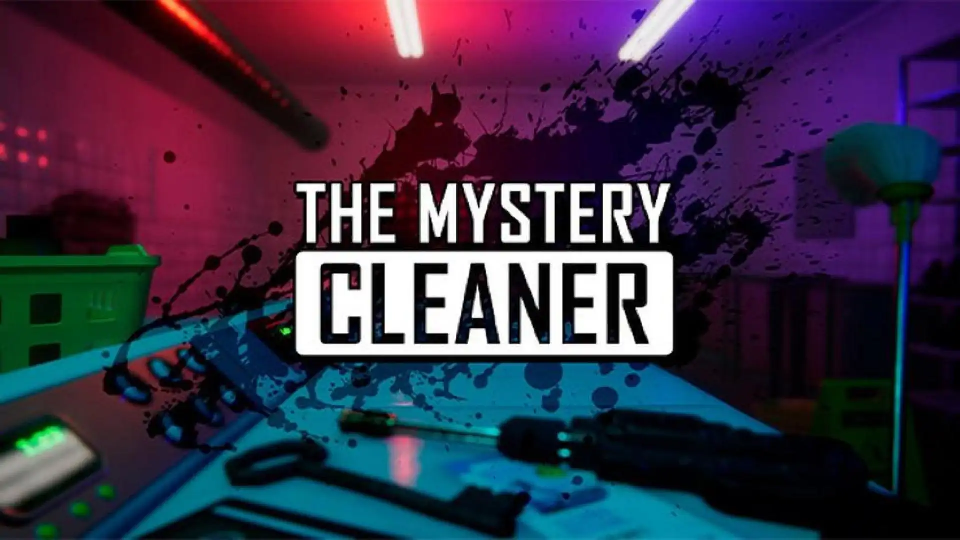 The Mystery Cleaner