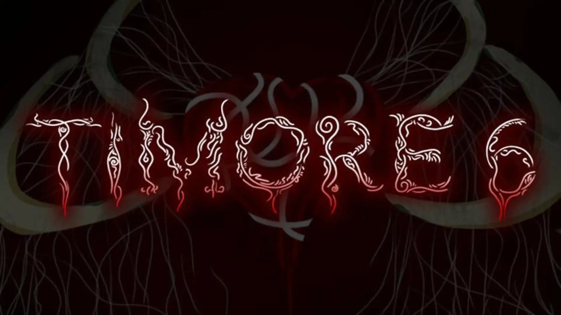 Timore 6