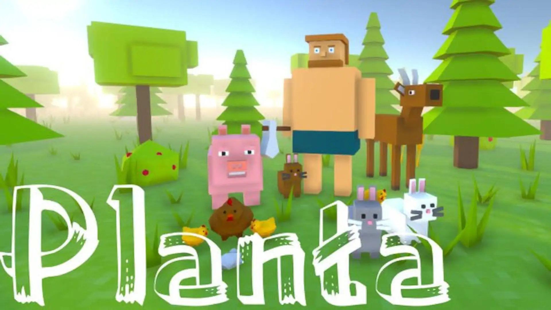Planta