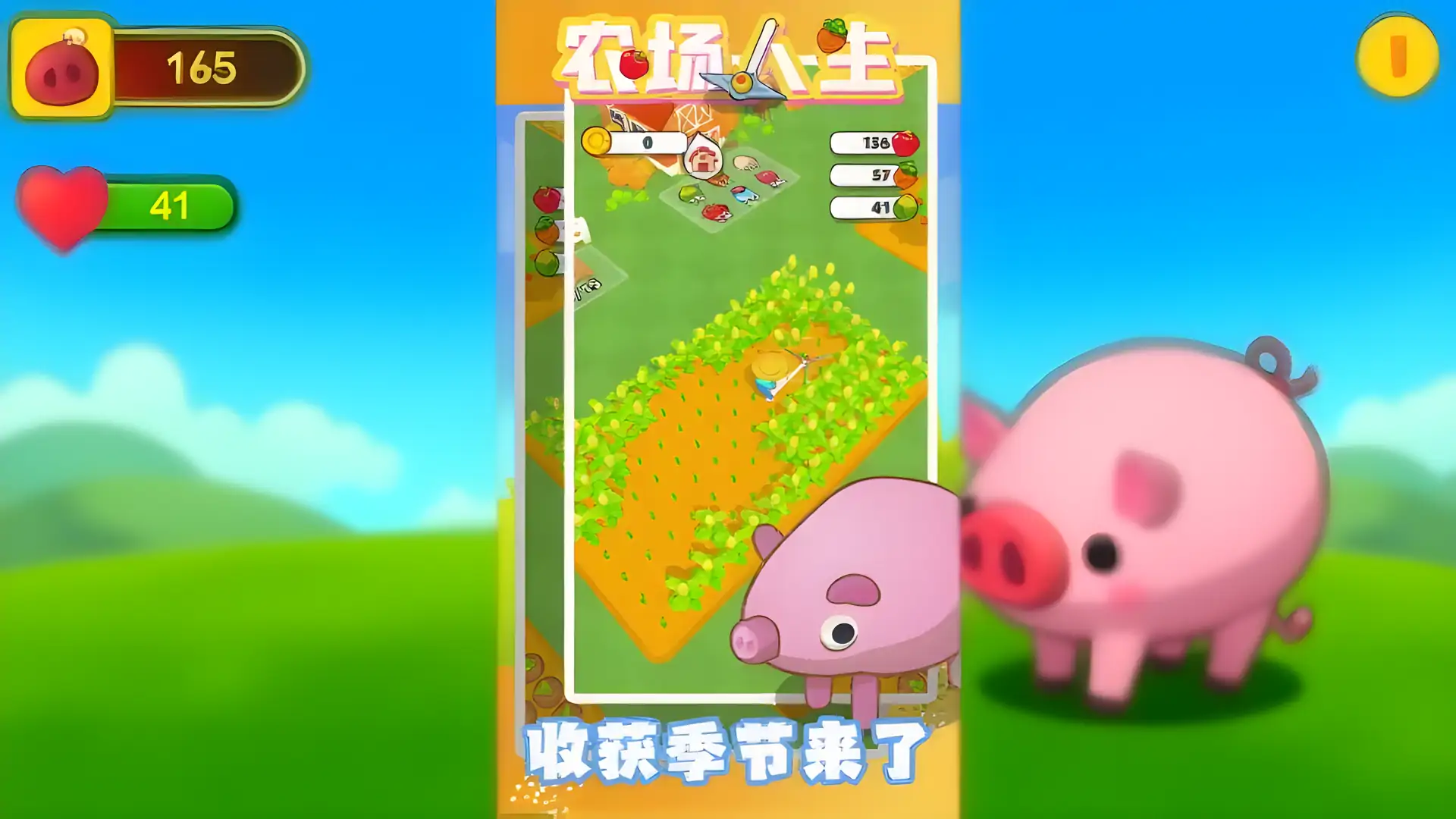 农场人生