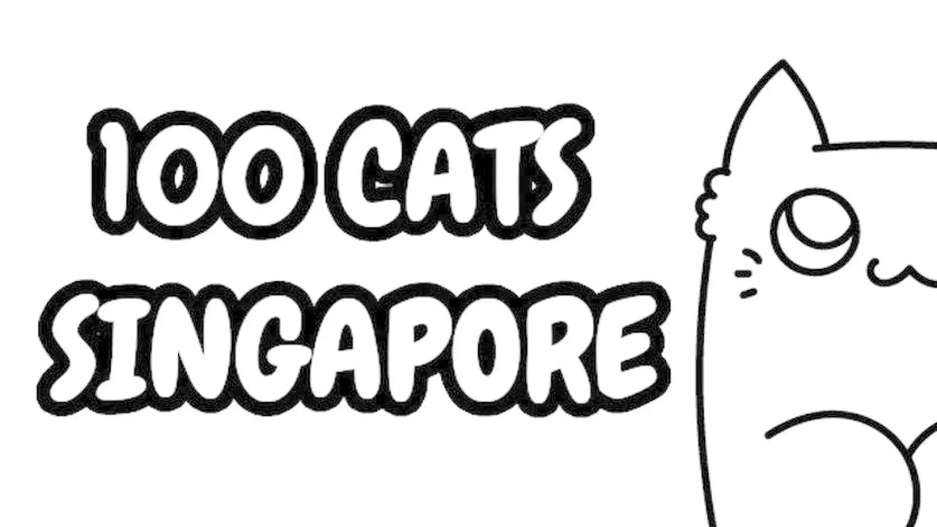 100 只猫 新加坡