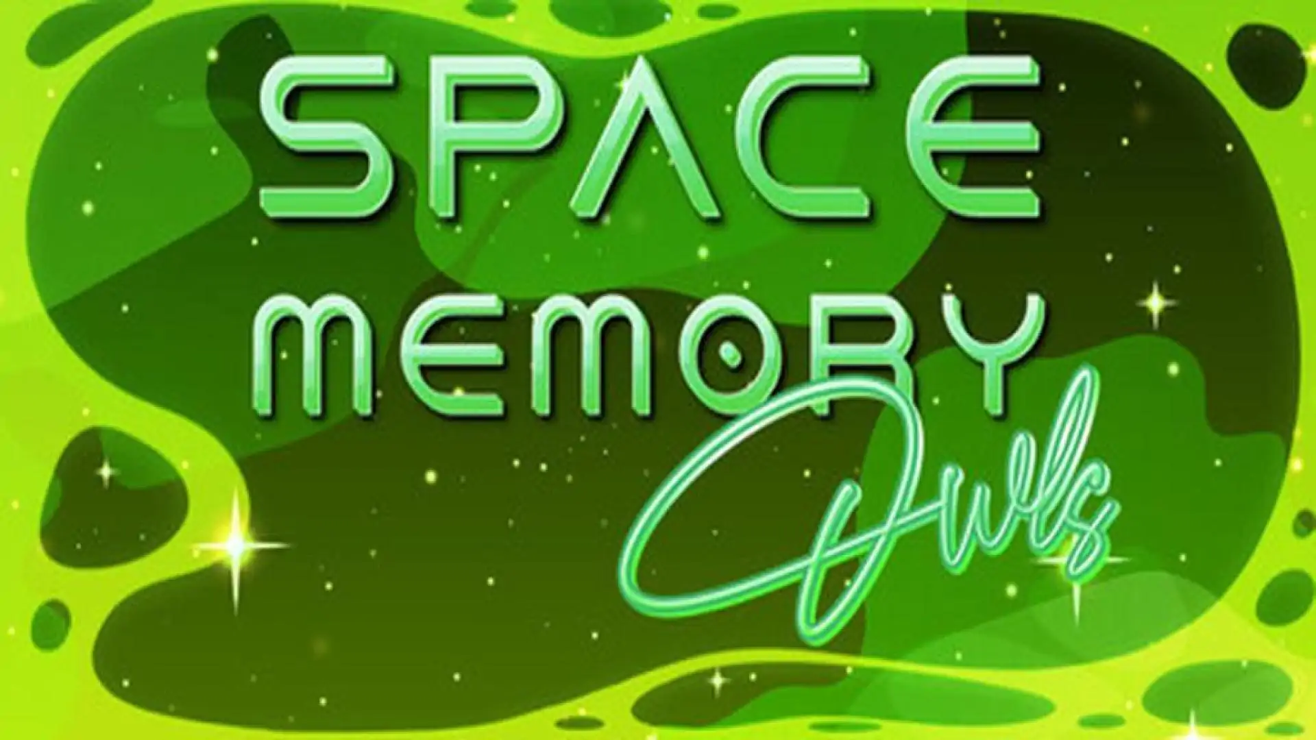 Space Memory: Owls