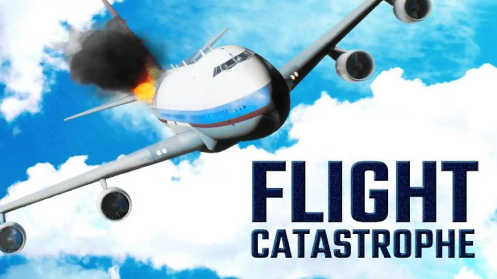 Flight Catastrophe
