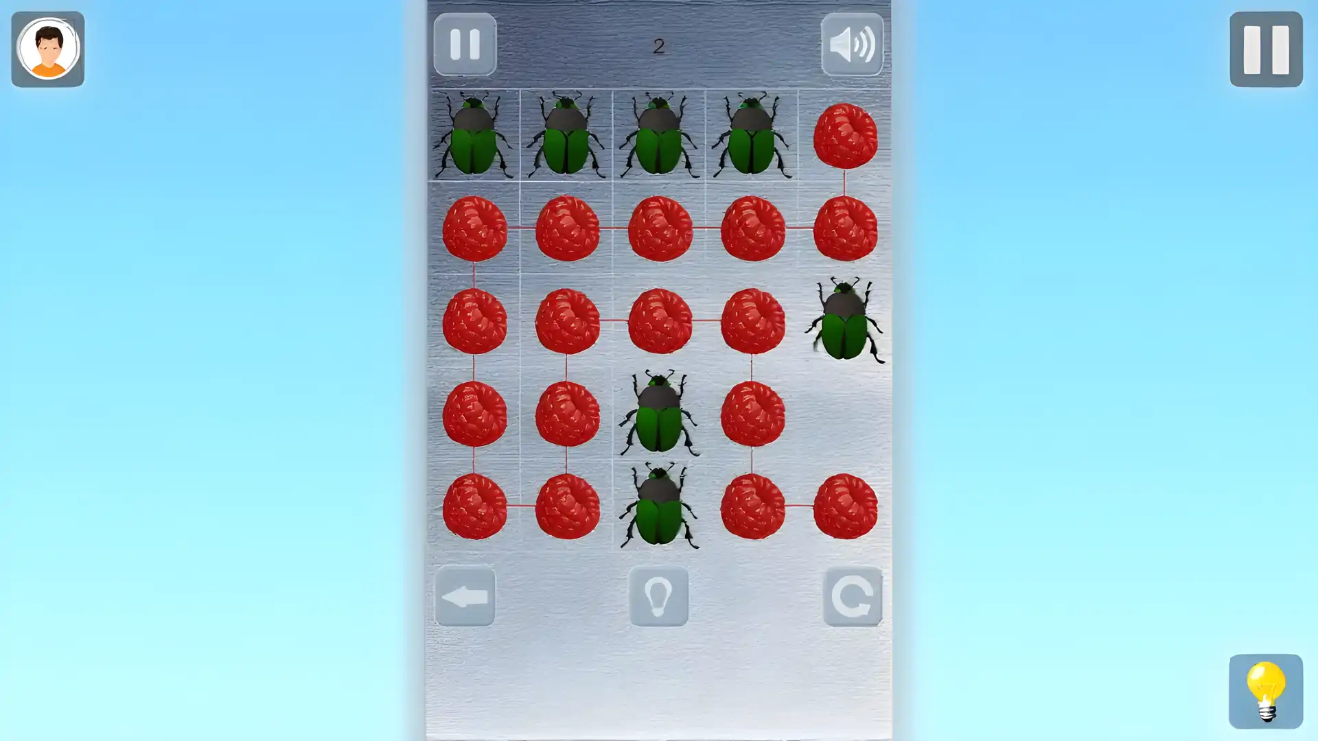 浆果之谜/Berrypuzzle