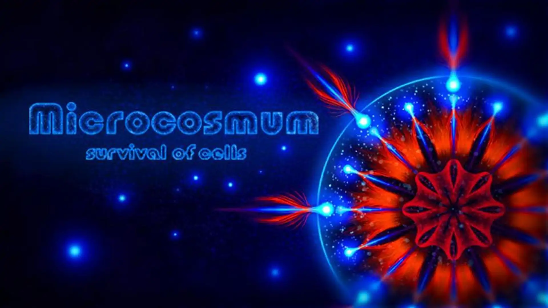 Microcosmum: survival of cells